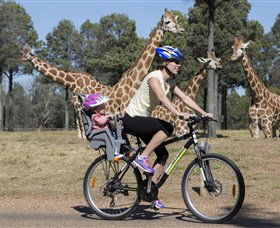 Taronga Western Plains Zoo, Dubbo - Accommodation Cairns 2