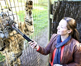 Taronga Western Plains Zoo, Dubbo - Accommodation Cairns 3