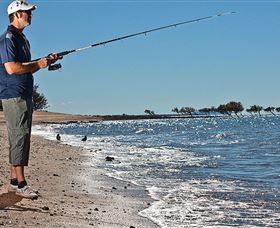 Dugong Sanctuary - Clairview - Accommodation Cairns 3