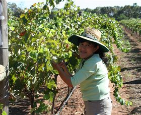 Domaine Asmara - Accommodation Cairns 6