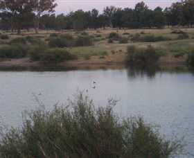 Savernake Day Tours - Accommodation Cairns 7