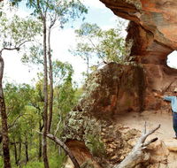 Pilliga National Park - Accommodation Cairns
