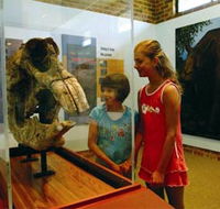 Australian Museum Diprotodon Exhibition - Accommodation Cairns