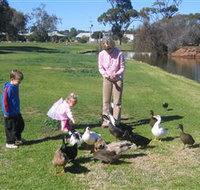 Roy Little Park Merredin - Accommodation Cairns