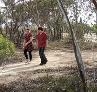 Tamma Parkland - Accommodation Cairns