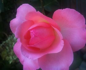 Abandon Stress Mobile Massage - Accommodation Cairns 2