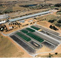 Co-operative Bulk Handling CBH Wheat Storage and Transfer Depot - Accommodation Cairns