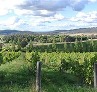 Sassy Wines - Accommodation Cairns