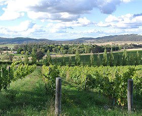 Sassy Wines - Accommodation Cairns 0