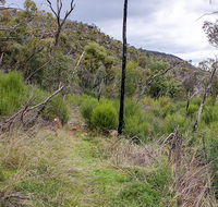 Lynchs loop trail - Accommodation Cairns