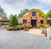 Springhill Nursery - Accommodation Cairns