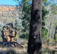 Eualdrie walking track - Accommodation Cairns