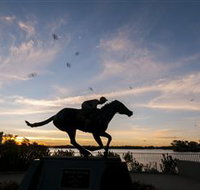 Black Caviar Statue - Accommodation Cairns