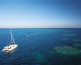 Bait Reef And Garys Lagoon Dive Site - Accommodation Cairns 0