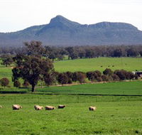 The Rock Nature Reserve - Accommodation Cairns