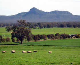 The Rock Nature Reserve - Accommodation Cairns 0