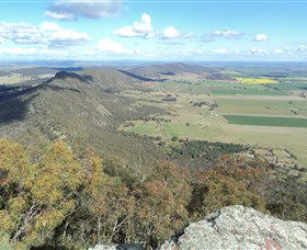 The Rock Nature Reserve - Accommodation Cairns 3