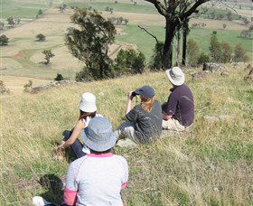 The Rock Nature Reserve - Accommodation Cairns 2