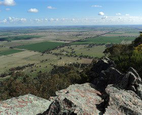 The Rock Nature Reserve - Accommodation Cairns 5