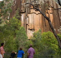 Sawn Rocks walking track - Accommodation Cairns