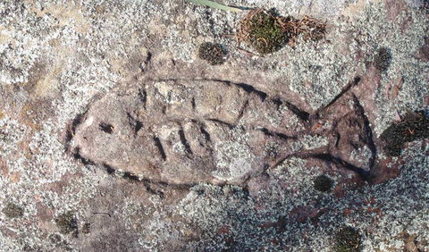 Terry Hie Hie Aboriginal Area - Accommodation Cairns 3
