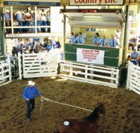 Gracemere Exhibition Complex - Accommodation Cairns