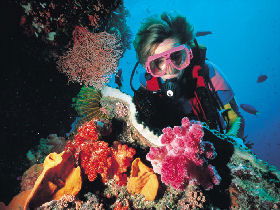 Great Barrier Reef - Whitsundays - Accommodation Cairns 1
