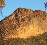 Kaputar scenic drive - Accommodation Cairns