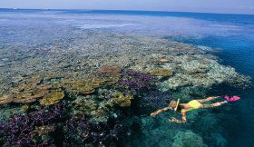 Hardy Reef - Accommodation Cairns 1