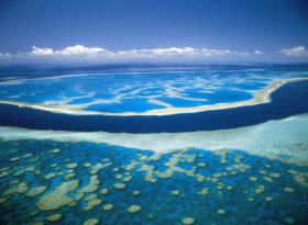 Hardy Reef - Accommodation Cairns 0