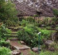 Burrendong Botanic Garden and Arboretum - Accommodation Cairns