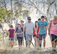 Winton Wetlands Reserve - Accommodation Cairns