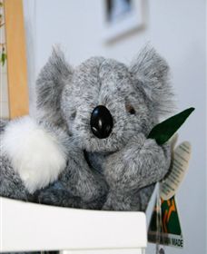 Timboon Toybox - Accommodation Cairns 0