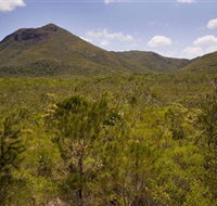 Kutini-Payamu Iron Range National Park CYPAL - Accommodation Cairns