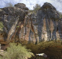 Borenore Karst Conservation Reserve - Accommodation Cairns