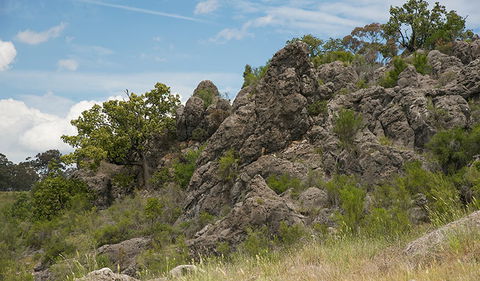 Verandah Cave - Accommodation Cairns 0