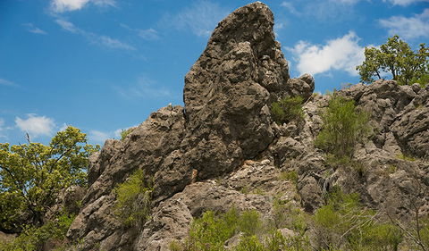 Verandah Cave - Accommodation Cairns 2
