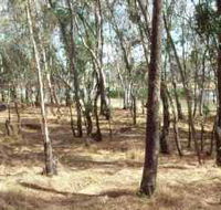 Chiltern-Mt Pilot National Park - Accommodation Cairns