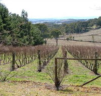Habitat Vineyard - Accommodation Cairns