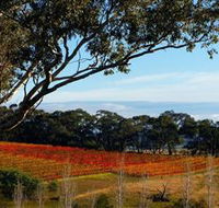 Bloodwood Estate - Accommodation Cairns