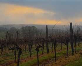 Bloodwood Estate - Accommodation Cairns 1