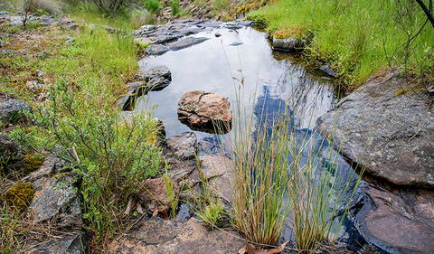 Hopetoun Falls Walking Track - Accommodation Cairns 1
