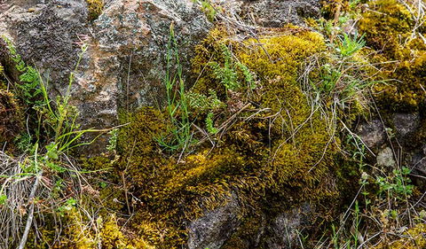 Hopetoun Falls Walking Track - Accommodation Cairns 2