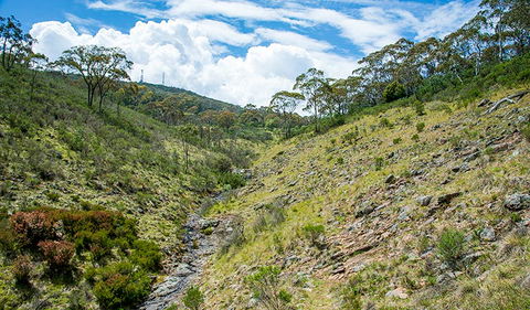 Hopetoun Falls Walking Track - Accommodation Cairns 3