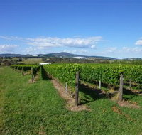 Hedberg Hill Wines - Accommodation Cairns