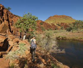 Millstream Chichester National Park - Accommodation Cairns 3