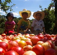 Bonny Glen Fruits - Accommodation Cairns