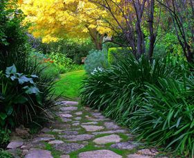 Out Of Town Nursery And Humming Garden - Accommodation Cairns 2