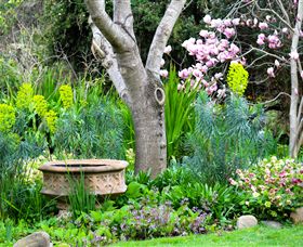 Out Of Town Nursery And Humming Garden - Accommodation Cairns 4