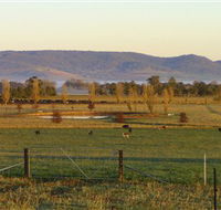 Holbrook Landcare Self-Drive Eco Tour - Accommodation Cairns